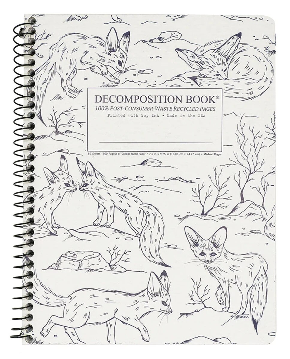 Fennec Foxes Decomposition Book